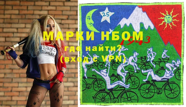 прущие грибы Новозыбков