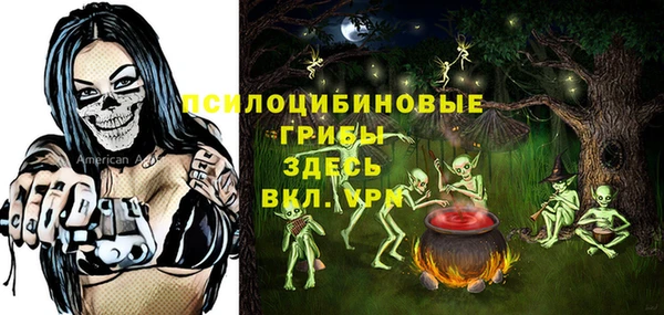 гашик Алзамай