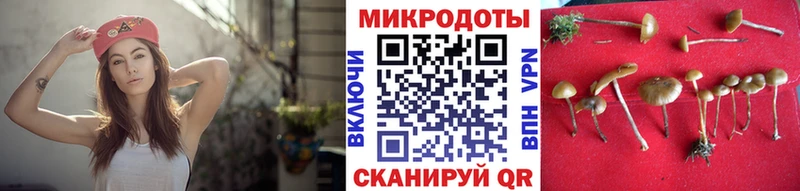 Галлюциногенные грибы Psilocybine cubensis  Харабали 